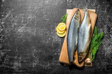 Limon, sarımsak ve dereotu dilimleri ile bir kesme Tahtası üzerinde tuzlu ringa balığı. Koyu rustik arka plan üzerinde