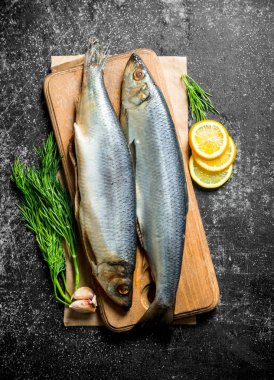 Limon, sarımsak ve dereotu dilimleri ile bir kesme Tahtası üzerinde tuzlu ringa balığı. Koyu rustik arka plan üzerinde
