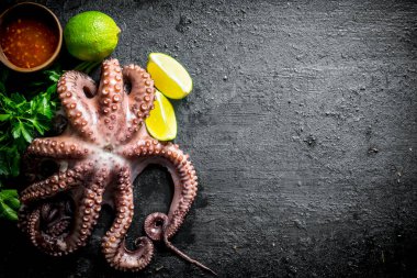 Taze ahtapot maydanoz, kireç ve kase de sos ile. Siyah rustik arka plan üzerinde