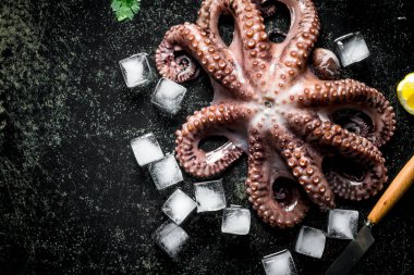 Deniz ürünleri. Buzlu ahtapot. Koyu rustik arka plan üzerinde