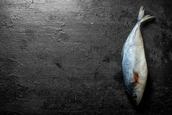 stock image Fresh raw fish. On black rustic background