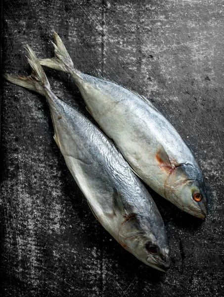 Stock image Fresh raw fish. On dark rustic background