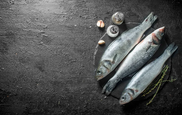 Pescado Crudo Con Dientes Ajo Especias Una Tabla Piedra Sobre — Foto de Stock