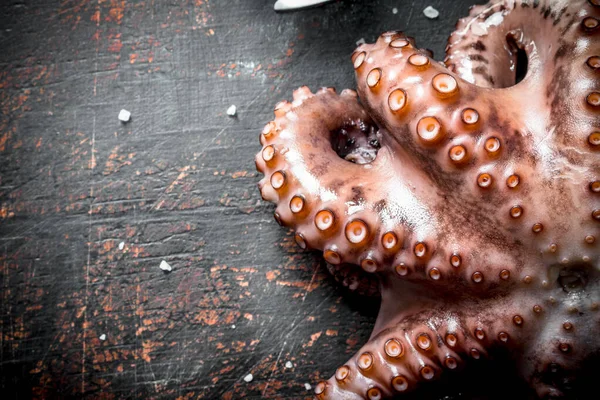 stock image Seafood. Freshly caught octopus. On dark rustic background