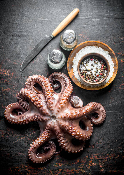 Octopus with knife and spices. On dark rustic background