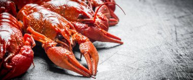 Haşlanmış pişmiş kerevit. Koyu rustik arka plan üzerinde