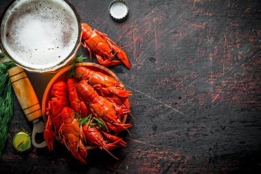 Bira atıştırması. Bira ve dereotu ile haşlanmış kerevit. Koyu rustik arka plan üzerinde