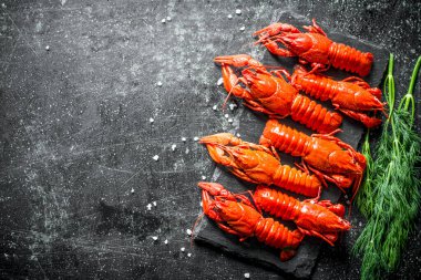 Dereotu ile bir taş tahta üzerinde kokulu haşlanmış kerevit. Koyu rustik arka plan üzerinde