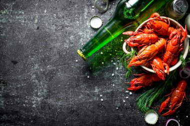 Bir kasede bir şişe ve dereotu bira ile kırmızı haşlanmış kerevit. Koyu rustik arka plan üzerinde