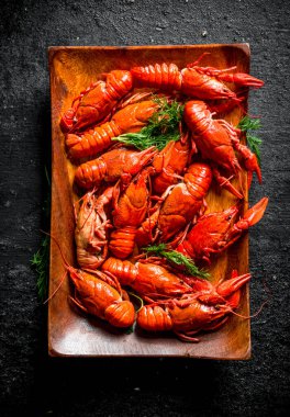 Dereotu ile bir tabakta haşlanmış kerevit. Siyah rustik arka plan üzerinde