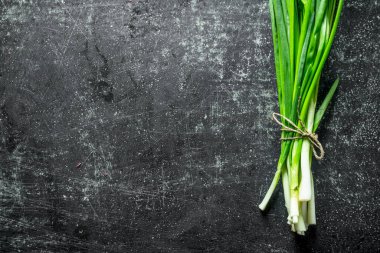 Bir demet yeşil soğan. Koyu rustik arka plan üzerinde