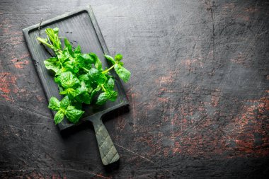 Kesme Tahtasında taze nane. Koyu rustik arka plan üzerinde