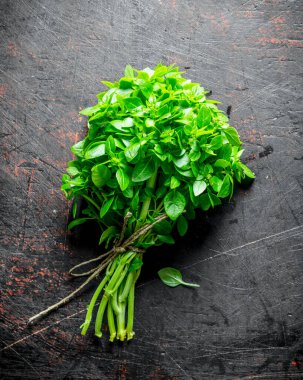 Bir demet taze kokulu Basil. Koyu rustik arka plan üzerinde