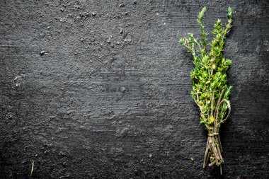 Bir demet taze kekik. Siyah rustik arka plan üzerinde