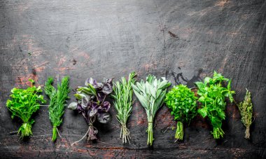 Farklı otlar demetleri aralığı. Koyu rustik arka plan üzerinde