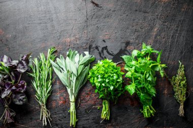 Farklı otlar demetleri aralığı. Koyu rustik arka plan üzerinde