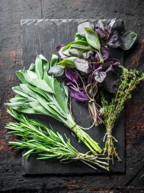 Taze otlar. Salvia, kekik, biberiye ve Fesleğen bir taş Tahta üzerinde. Koyu rustik arka plan üzerinde