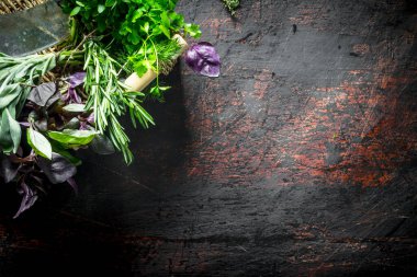 Çeşitli otlar ev bahçesinde yetiştirilen. Koyu rustik arka plan üzerinde