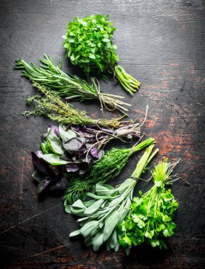 Taze yeşil otlar çeşitli. Koyu rustik arka plan üzerinde