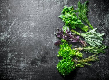 Bahçeden çeşitli taze otlar. Koyu rustik arka plan üzerinde