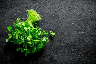 Bir demet taze maydanoz. Siyah rustik arka plan üzerinde