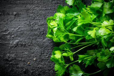 Taze kesilmiş maydanoz. Siyah rustik arka plan üzerinde