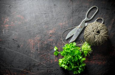 Ev bahçesinden taze kesilmiş maydanoz. Koyu rustik arka plan üzerinde