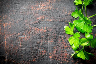 Taze maydanoz yaprağı. Koyu rustik arka plan üzerinde