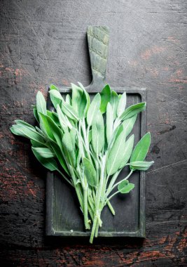 Kesme Tahtasında taze salvia. Koyu rustik arka plan üzerinde