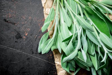 Kağıt üzerinde taze salvia. Koyu rustik arka plan üzerinde