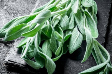 Taş tahtada taze salvia. Siyah rustik arka plan üzerinde