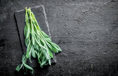 Taş tahtada taze salvia. Siyah rustik arka plan üzerinde