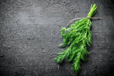 Salata için taze dereotu. Siyah rustik arka plan üzerinde