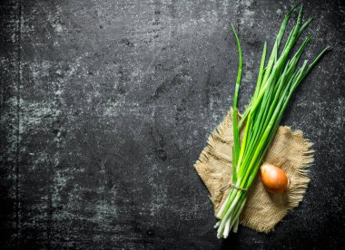 Kağıt üzerinde soğan ile yeşil soğan demet. Koyu rustik arka plan üzerinde