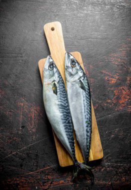 Ahşap kesme Tahtası üzerinde taze çiğ uskumru. Koyu rustik arka plan üzerinde