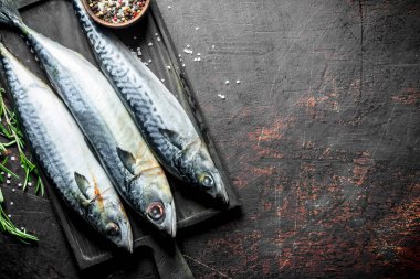 Biberiye ve baharatile kesme Tahtası üzerinde çiğ balık uskumru. Koyu rustik arka plan üzerinde