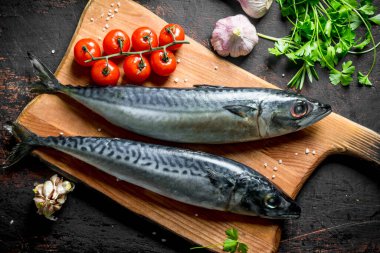 Domates, otlar ve sarımsak karanfil ile bir kesme Kurulu taze çiğ balık uskumru. Koyu rustik arka plan üzerinde