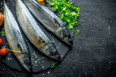 Taze çiğ uskumru taş tahta. Siyah rustik arka plan üzerinde