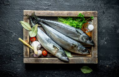 Tepside otlar ve sarımsak ile çiğ balık uskumru. Siyah rustik arka plan üzerinde