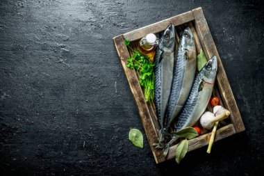 Maydanoz ve sarımsak ile ahşap bir tepsi üzerinde taze çiğ uskumru. Siyah rustik arka plan üzerinde