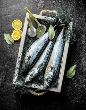 Limon dilimleri ve Defne yaprağı ile tepside bir balık ağı çiğ balık uskumru. Koyu rustik arka plan üzerinde