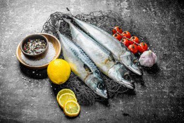 Domates, sarımsak, limon ve baharat ile bir balık ağı üzerinde taze balık uskumru. Koyu rustik arka plan üzerinde