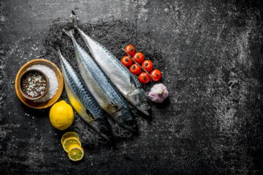 Baharat, dilimlenmiş limon ve kiraz domates ile çiğ uskumru. Koyu rustik arka plan üzerinde