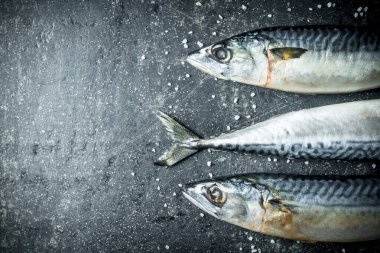 Çiğ balık uskumru. Koyu rustik arka plan üzerinde