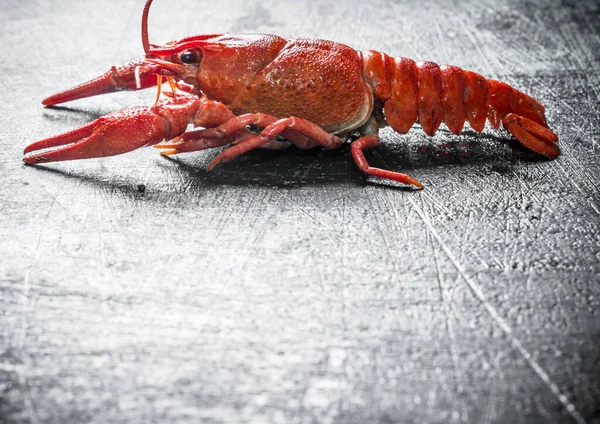 One Red Boiled Crayfish Dark Rustic Background — Stock Photo, Image