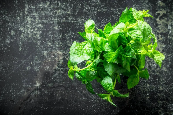 Friss Fűszernövények Zöld Menta Sötét Rusztikus Háttér — Stock Fotó