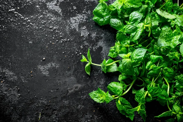 Makanan Sehat Bau Mint Segar Pada Latar Belakang Hitam Pedesaan — Stok Foto