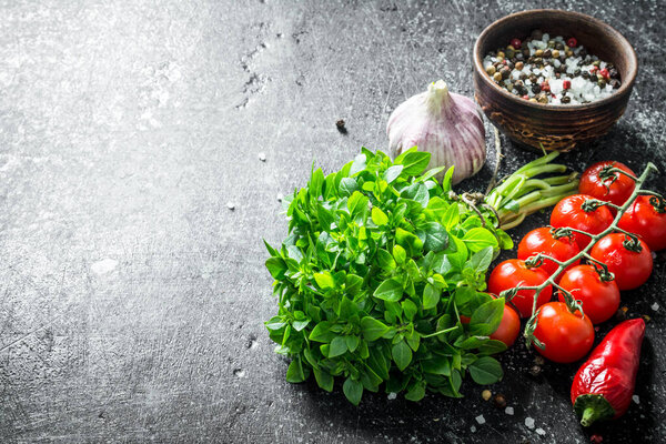 Fresh Basil with tomatoes, spices and garlic. On dark rustic background