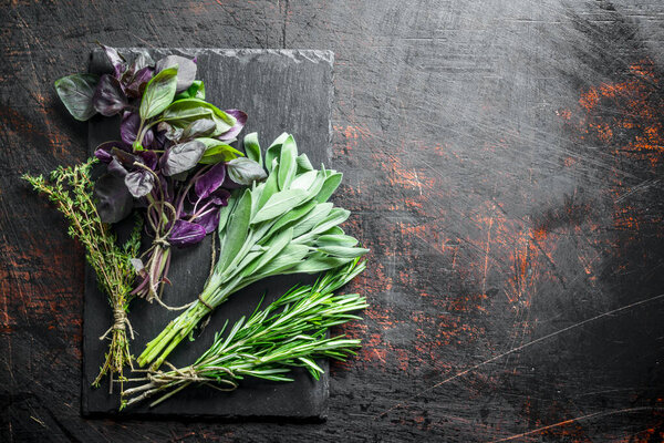Fresh herbs. Salvia, thyme, rosemary and Basil on a stone Board. On dark rustic background