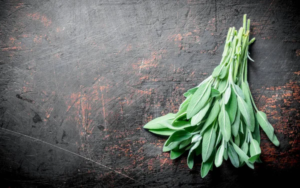 Comida Saludable Salvia Fresca Sobre Fondo Rústico Oscuro —  Fotos de Stock